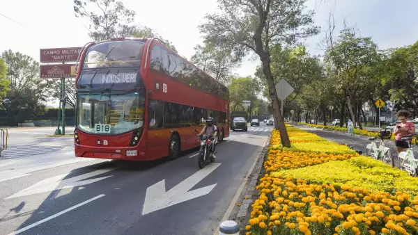 ¿Qué es la Alianza de Movilidad Sostenible en México y cuál es su objetivo?