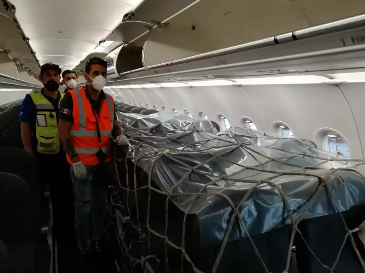 Viva Cargo 2.jpg