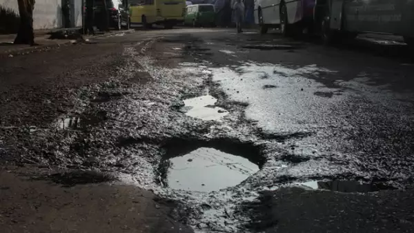 bache