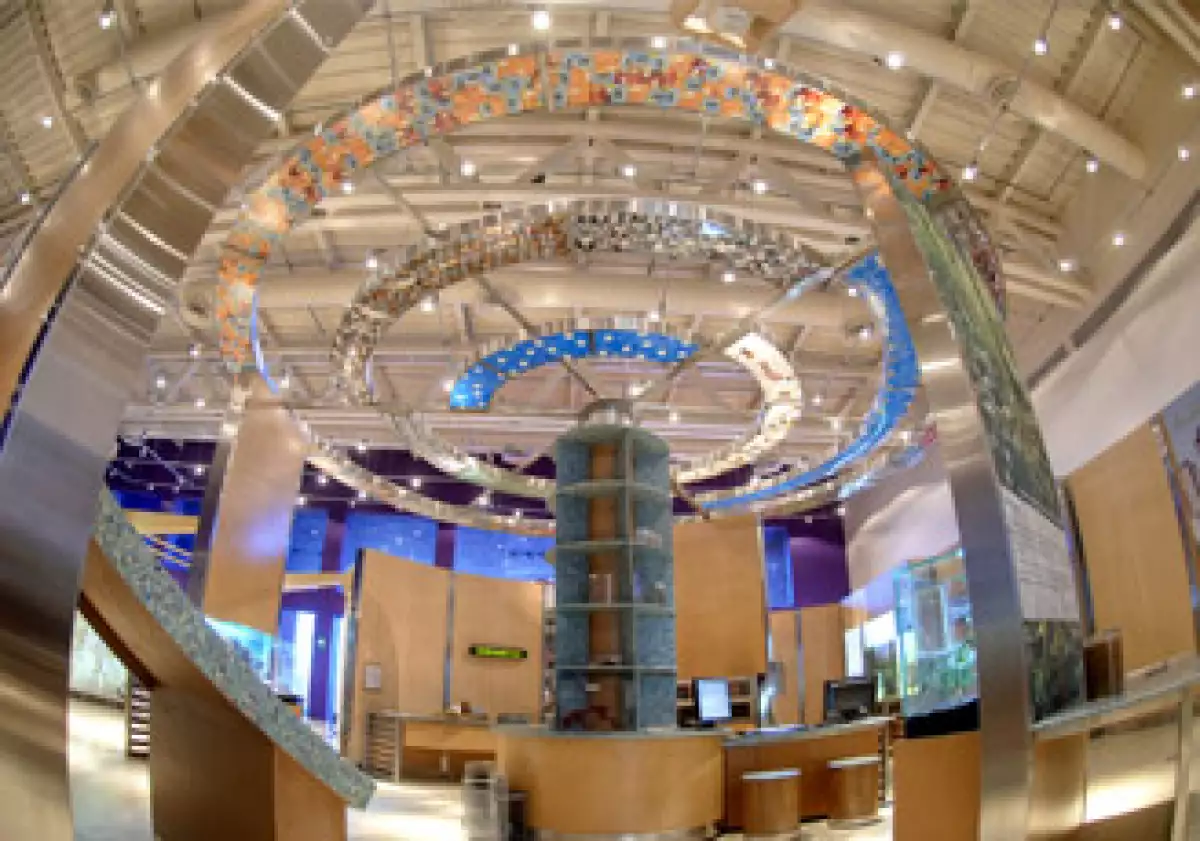 La exposición viajará a otros museos interactivos de Guerrero, Jalisco, Morelos, Nuevo León, Puebla, Querétaro, Sonora y Yucatán. (Foto: Museo del Papalote)