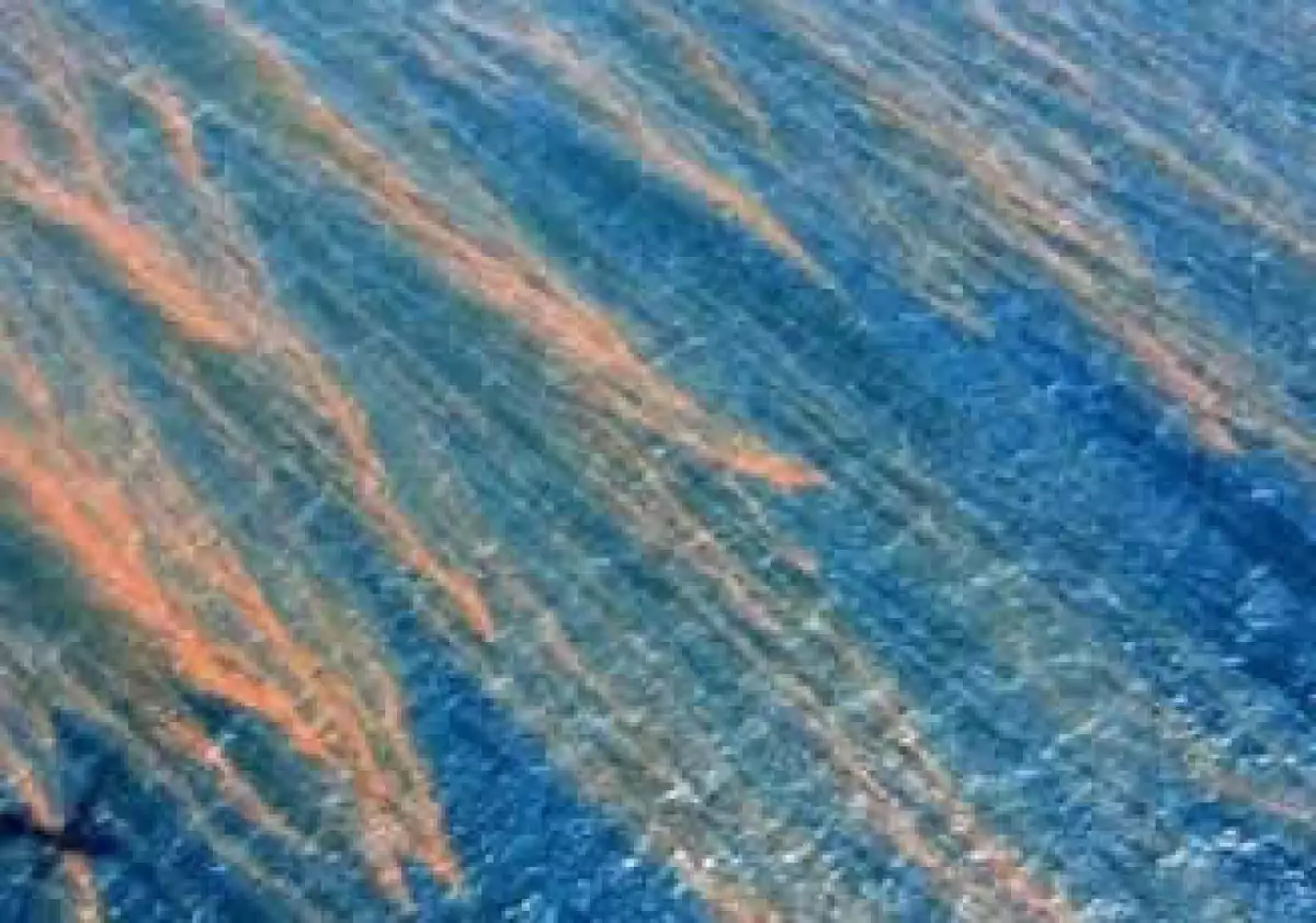 El sector camaronero también puede verse afectado por el derrame de petróleo en el Golfo de México. (Foto: Reuters)