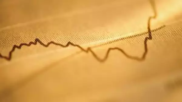 gr�fica, estadistica, indicador, econom�a, alza, crecimiento
