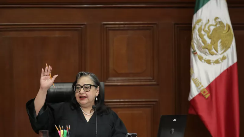 Norma Lucía Piña Hernández