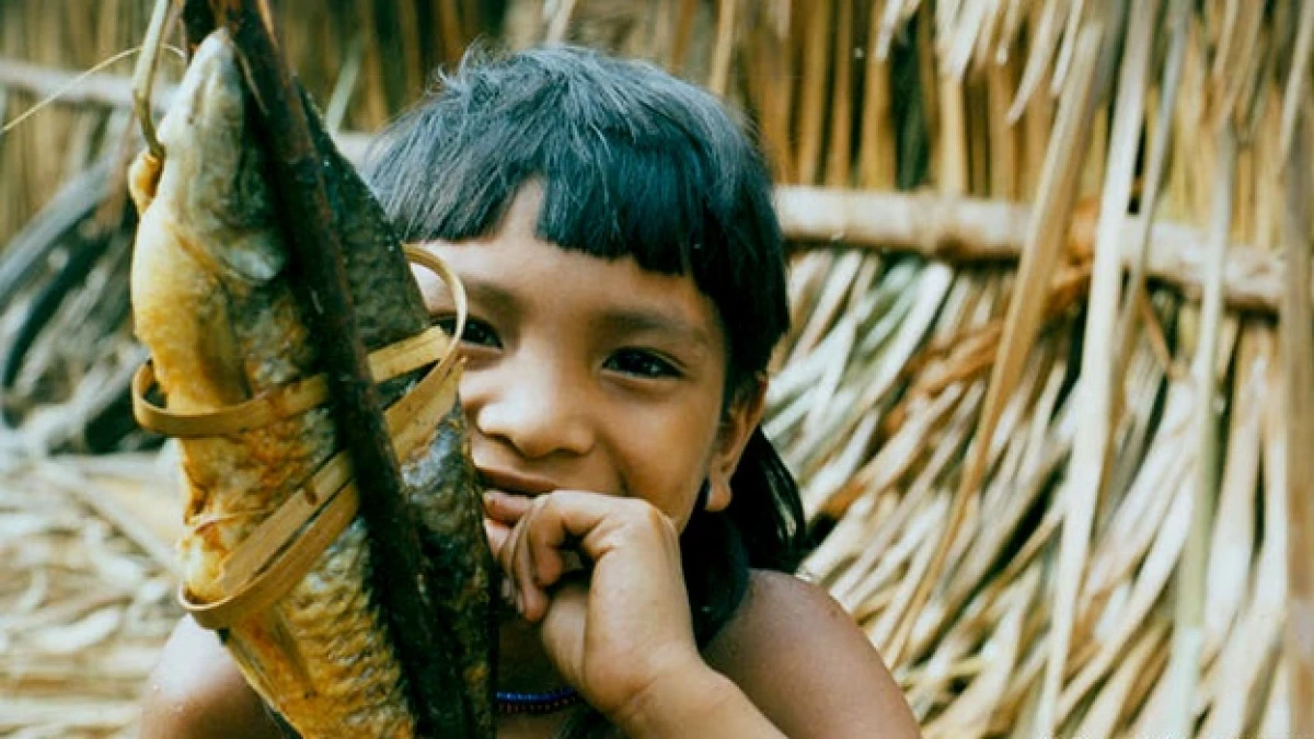 amazonas