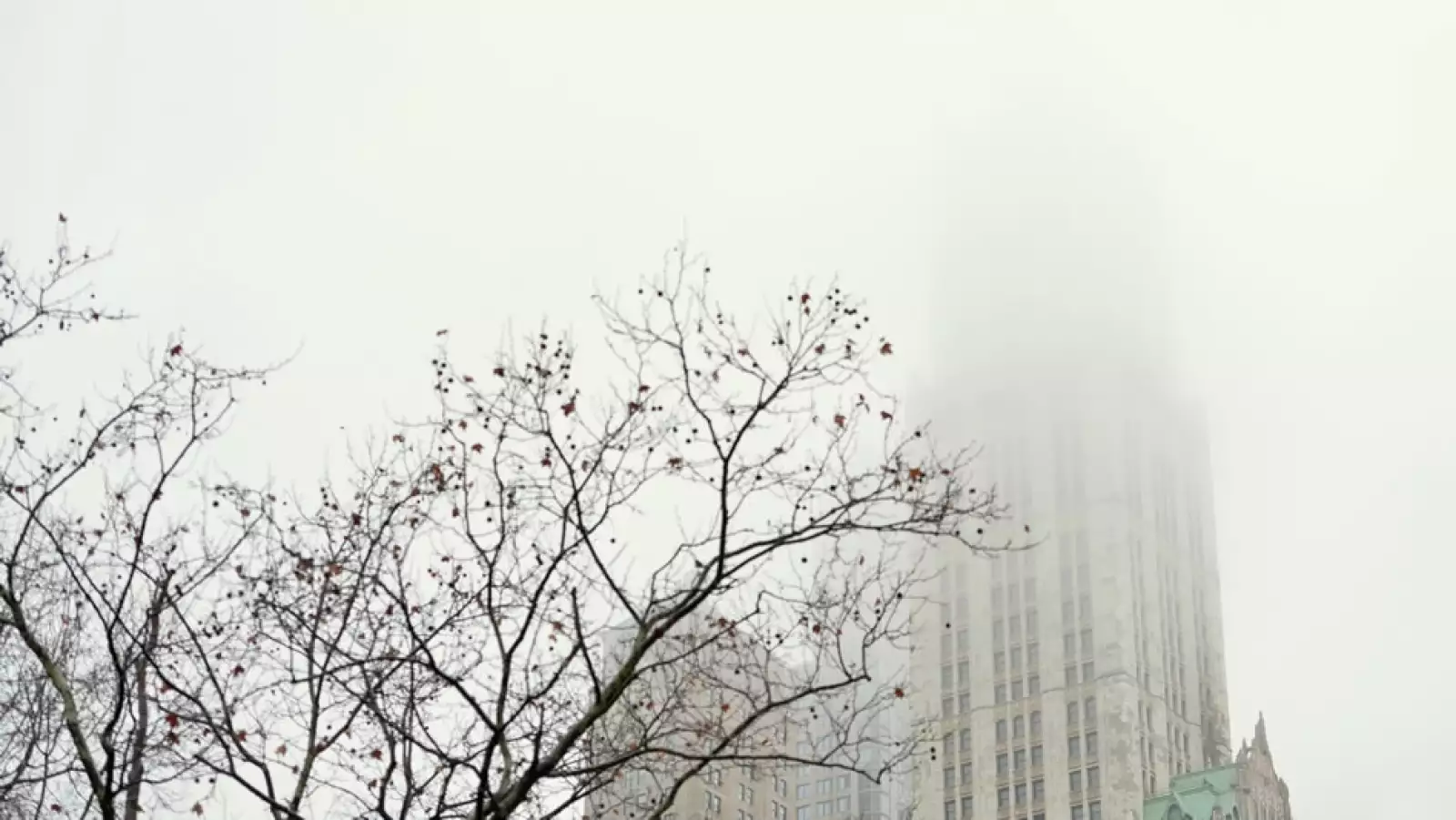 un edificio cubierto de niebla en el bajo manhattan 