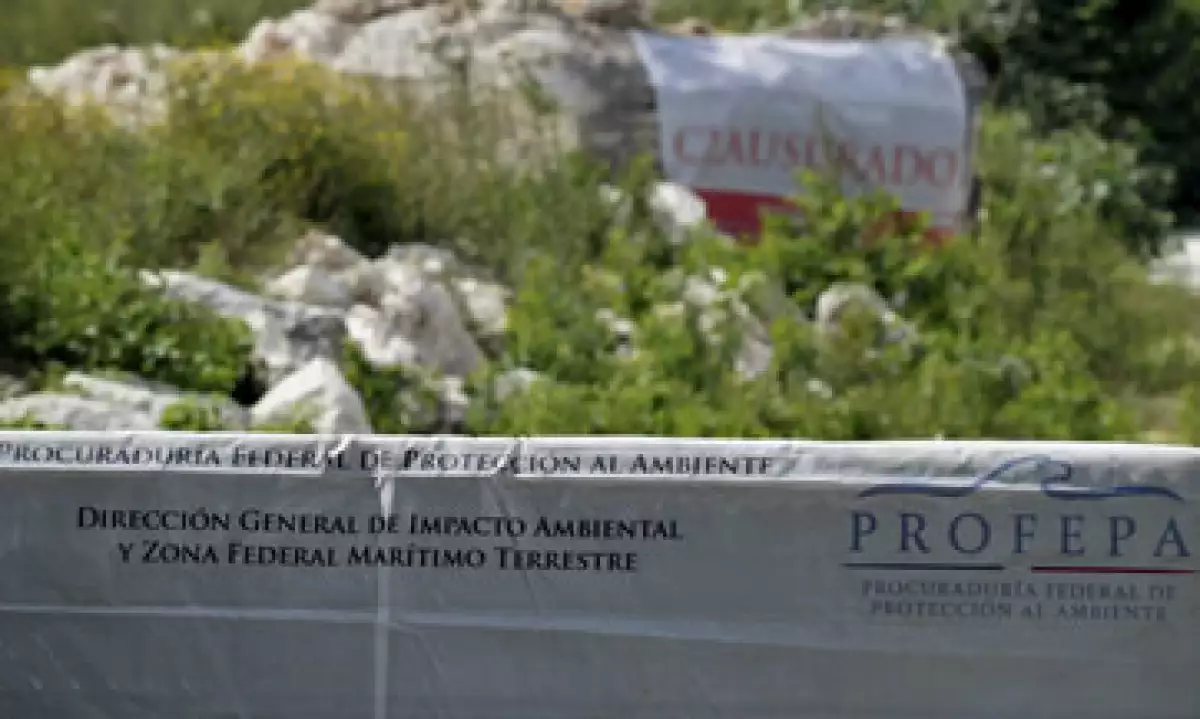 Para la Profepa los responsables del proyecto infringieron la normatividad administrativa ambiental vigente. (Foto: Cuartoscuro )