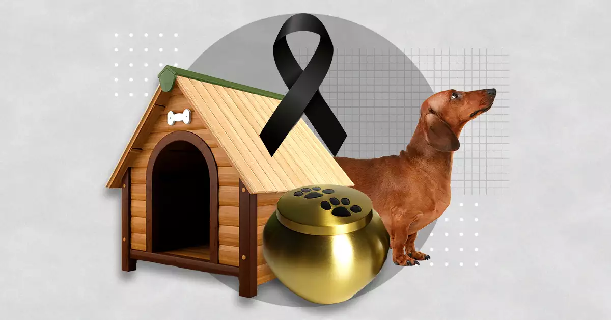 servicios_funerarios_mascotas