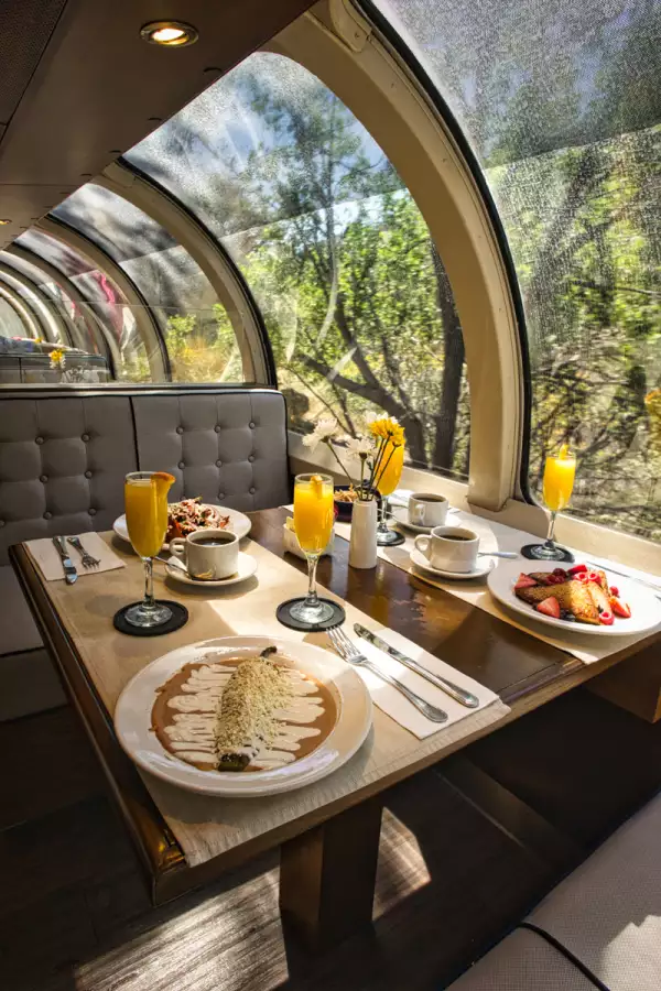 Chihuahua CHEPE INTERIOR