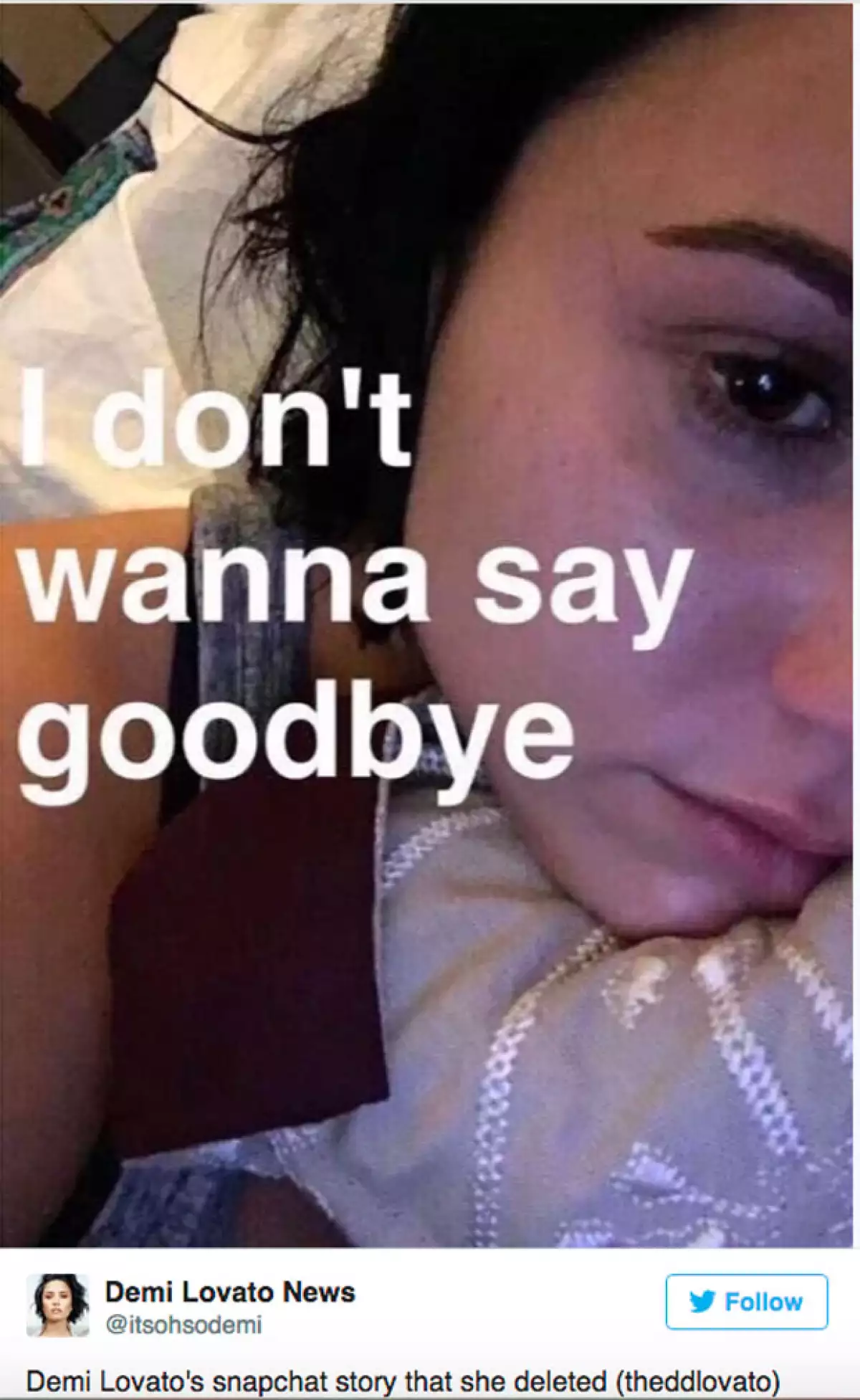 A través de su snapchat, Demi dio a conocer lo difícil que le era despedirse de su bisabuela.