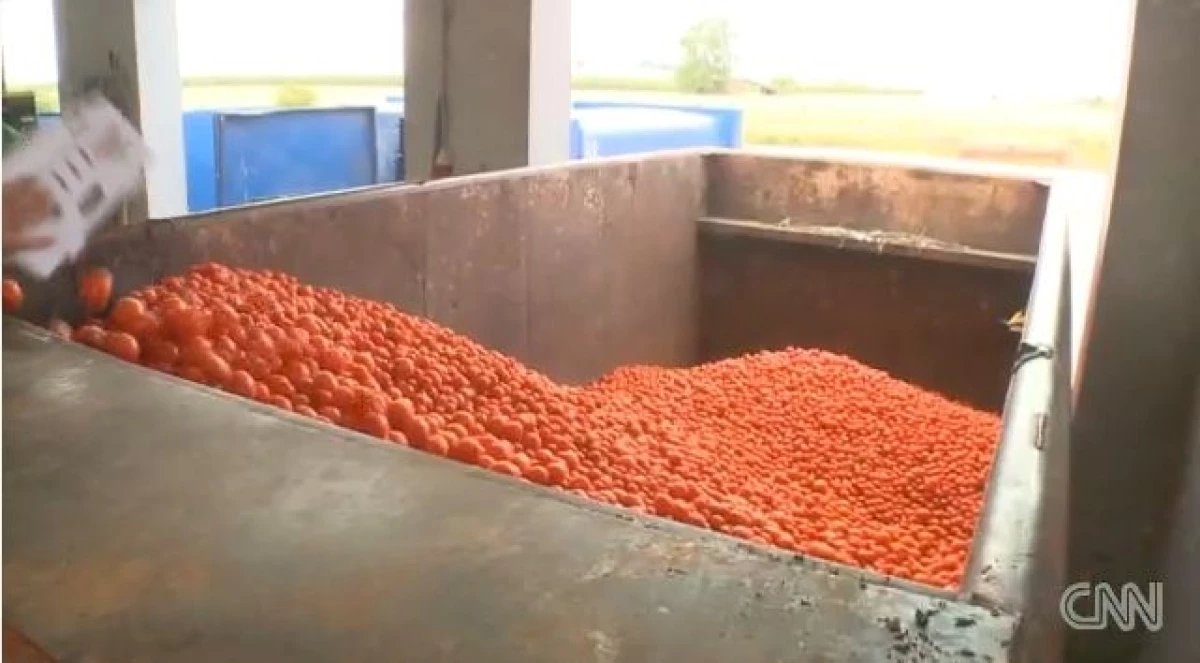 Tomates