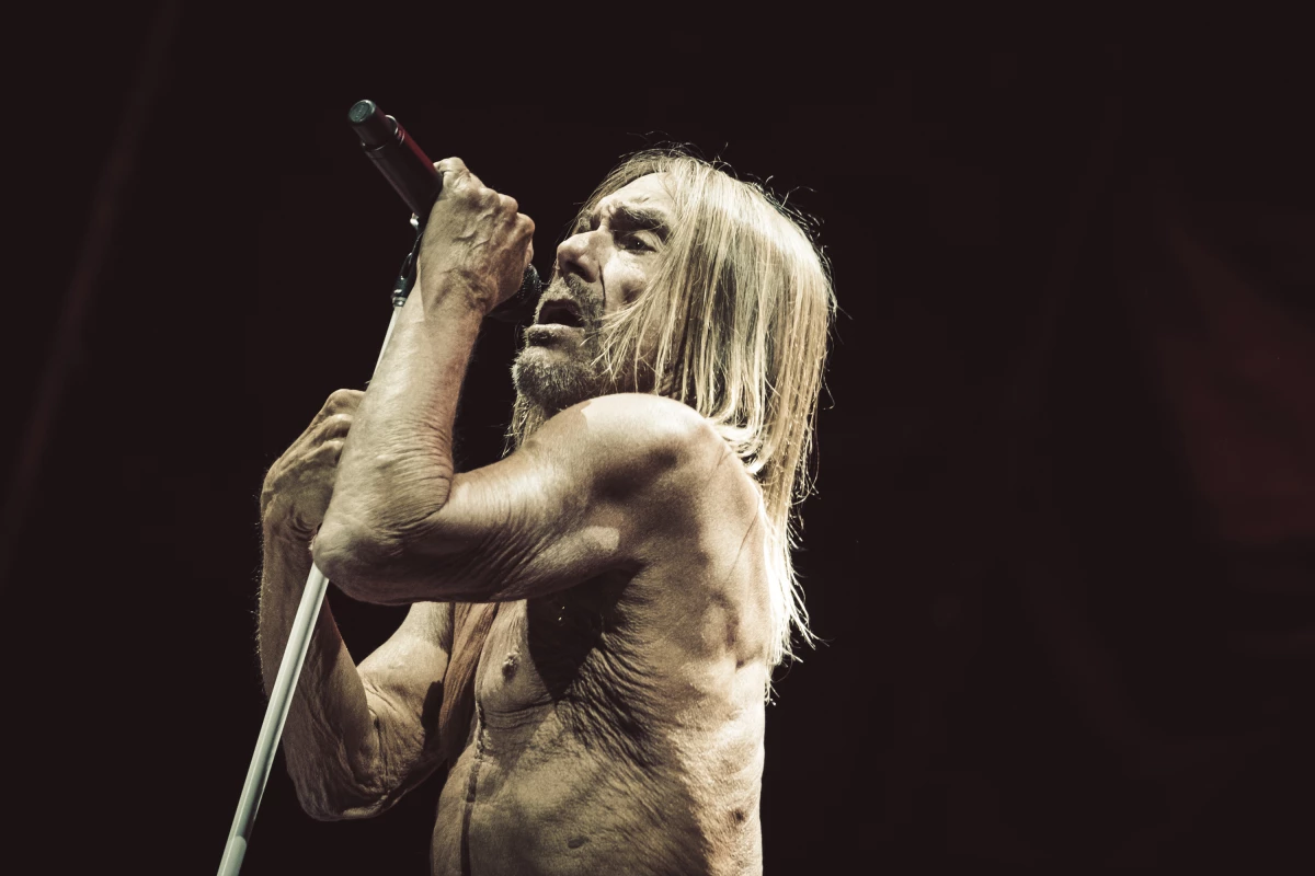 Iggy Pop