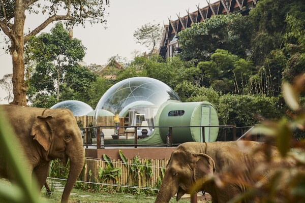 Life and Style Anantara Golden Triangle 2.jpg