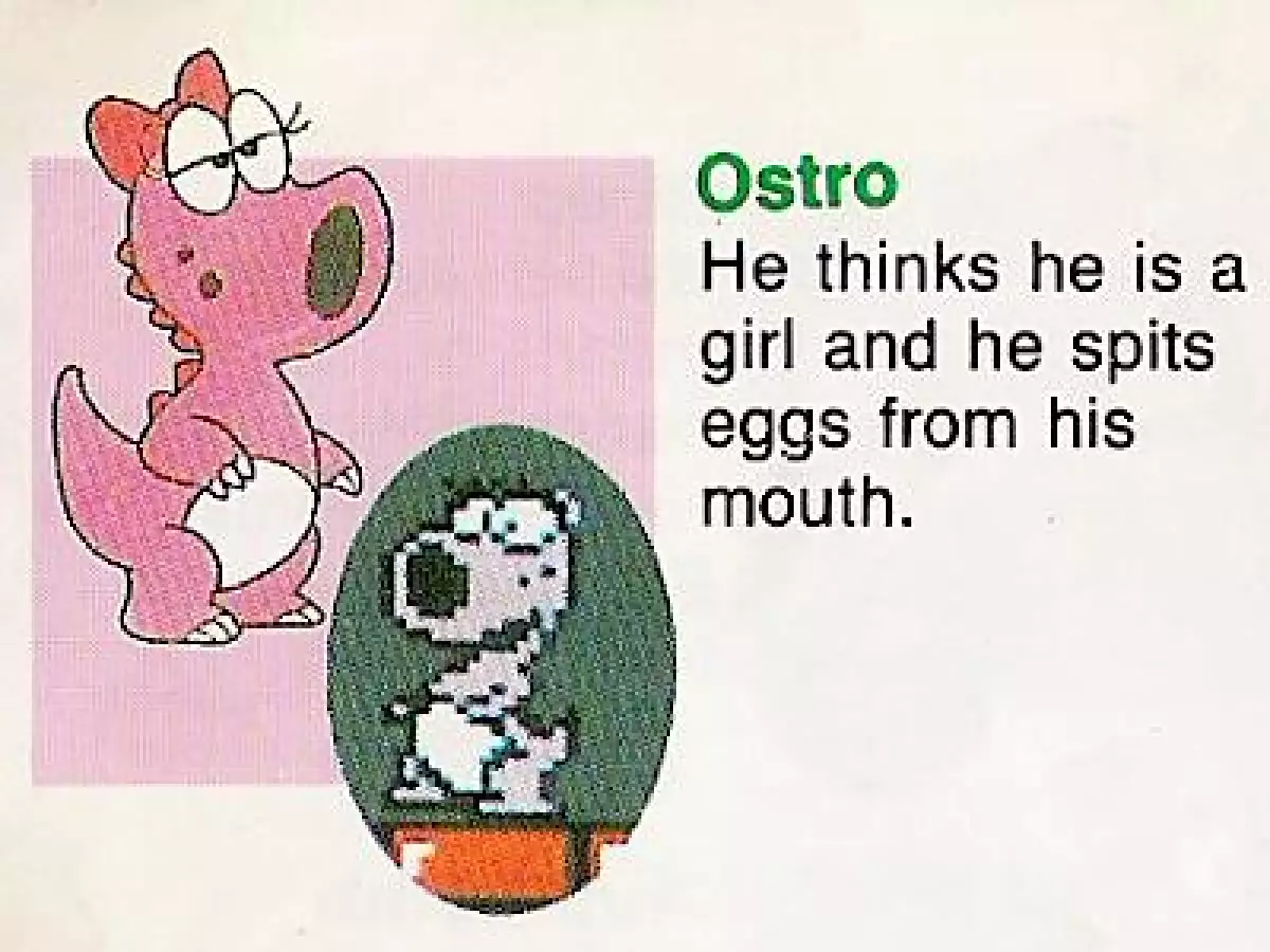 ¿Birdo es un personaje femenino o masculino?
