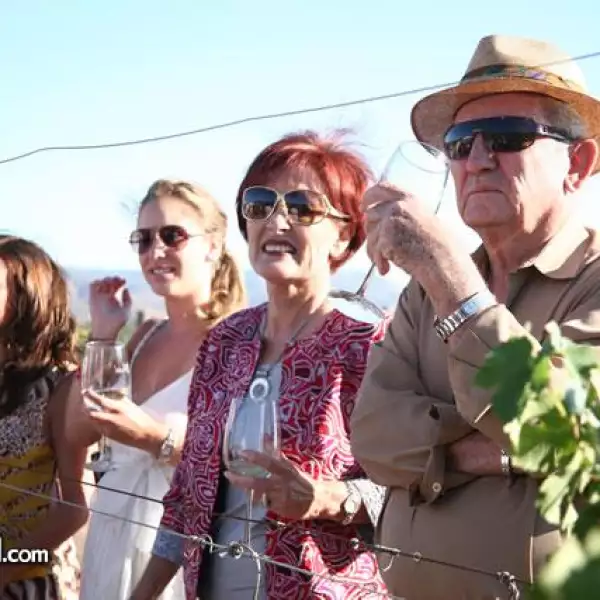 Vendimia Monte Xanic