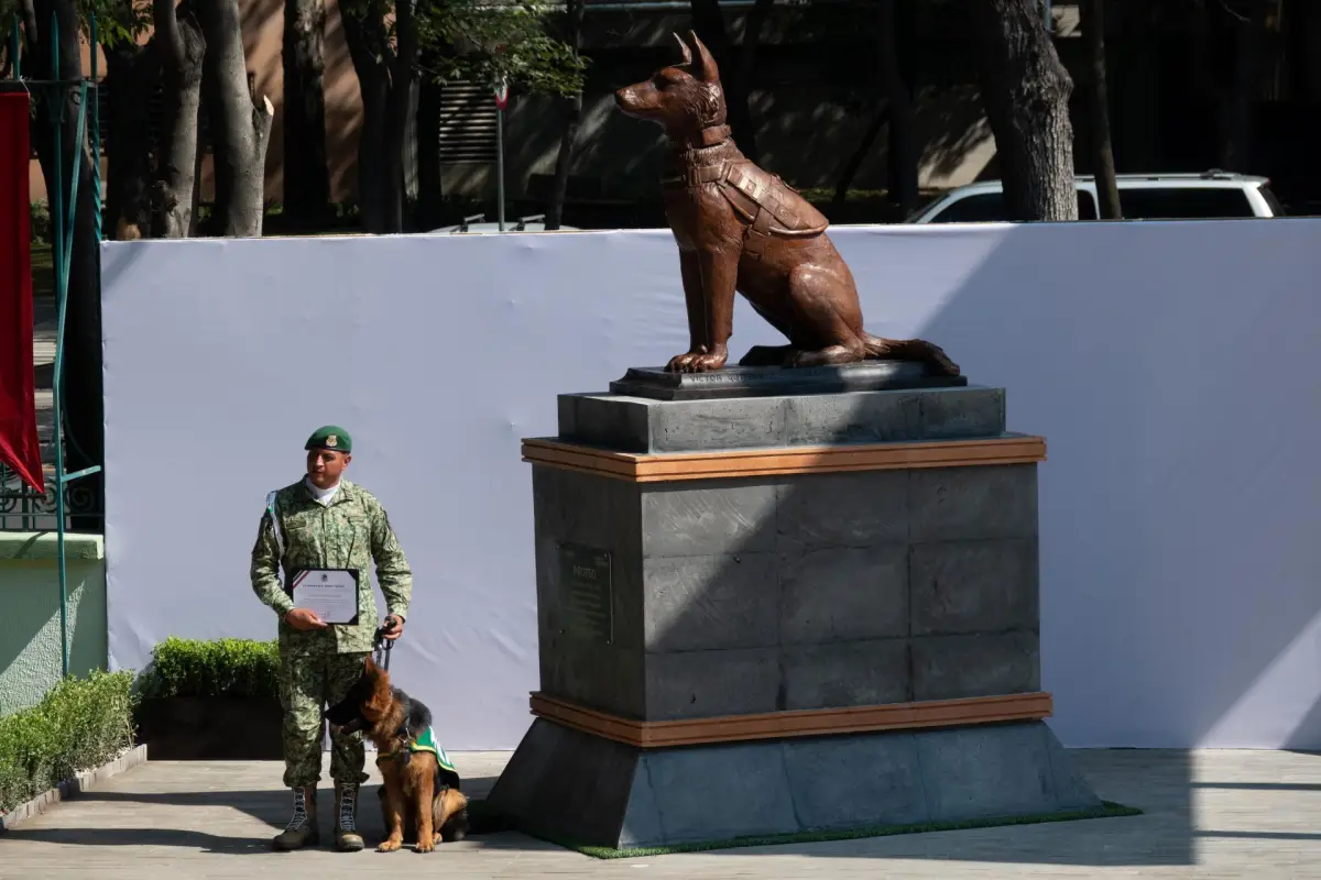 estatua-proteo-perro-rescatista