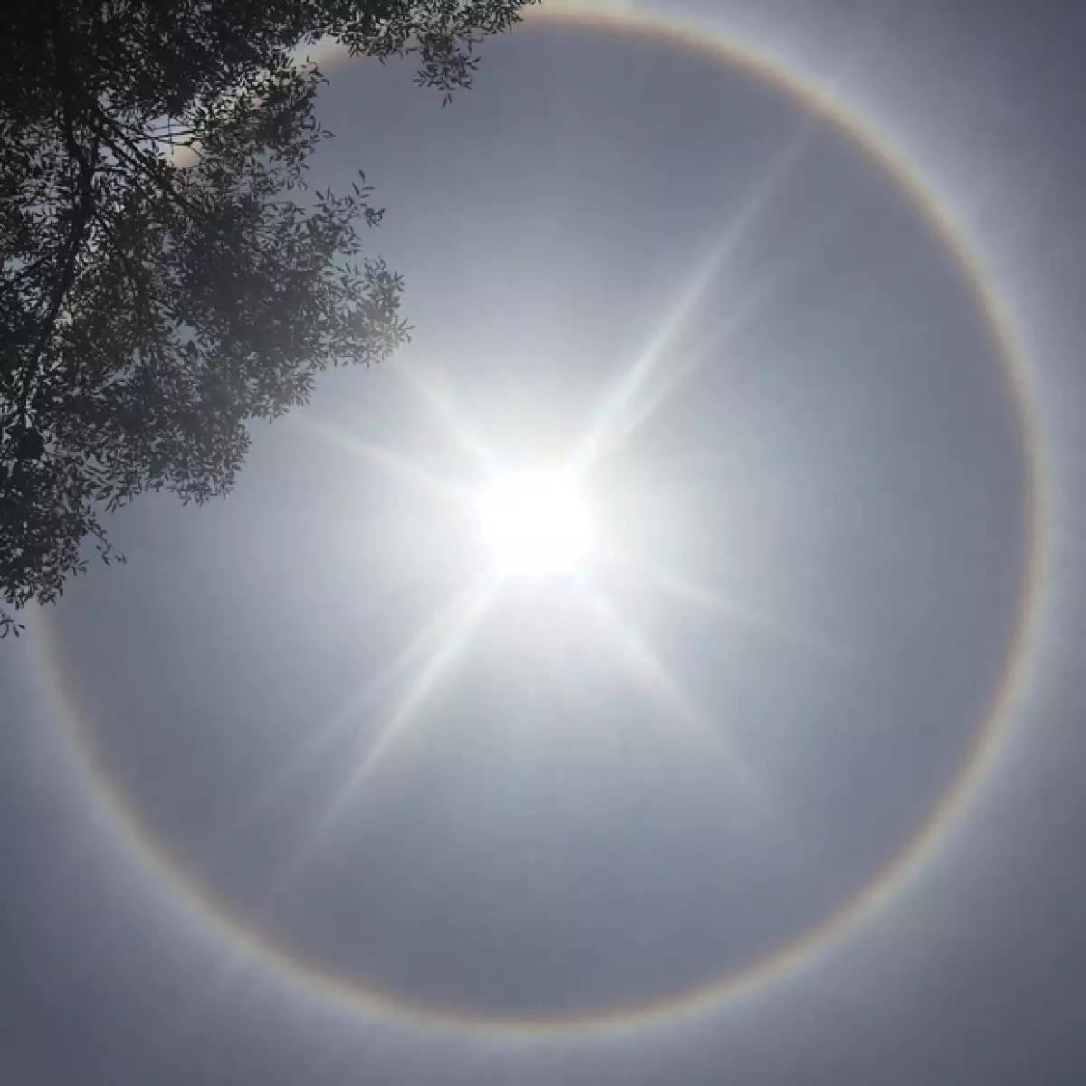 Este jueves 21 de mayo el sol ha tenido la atención de todos los mexicanos pues en el cielo se ve rodeado por un “aura” de luz. ¿Es buena o mala señal?