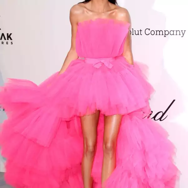 amfAR's 26th Cinema Against AIDS Gala, Arrivals, 72nd Cannes Film Festival, France - 23 May 2019