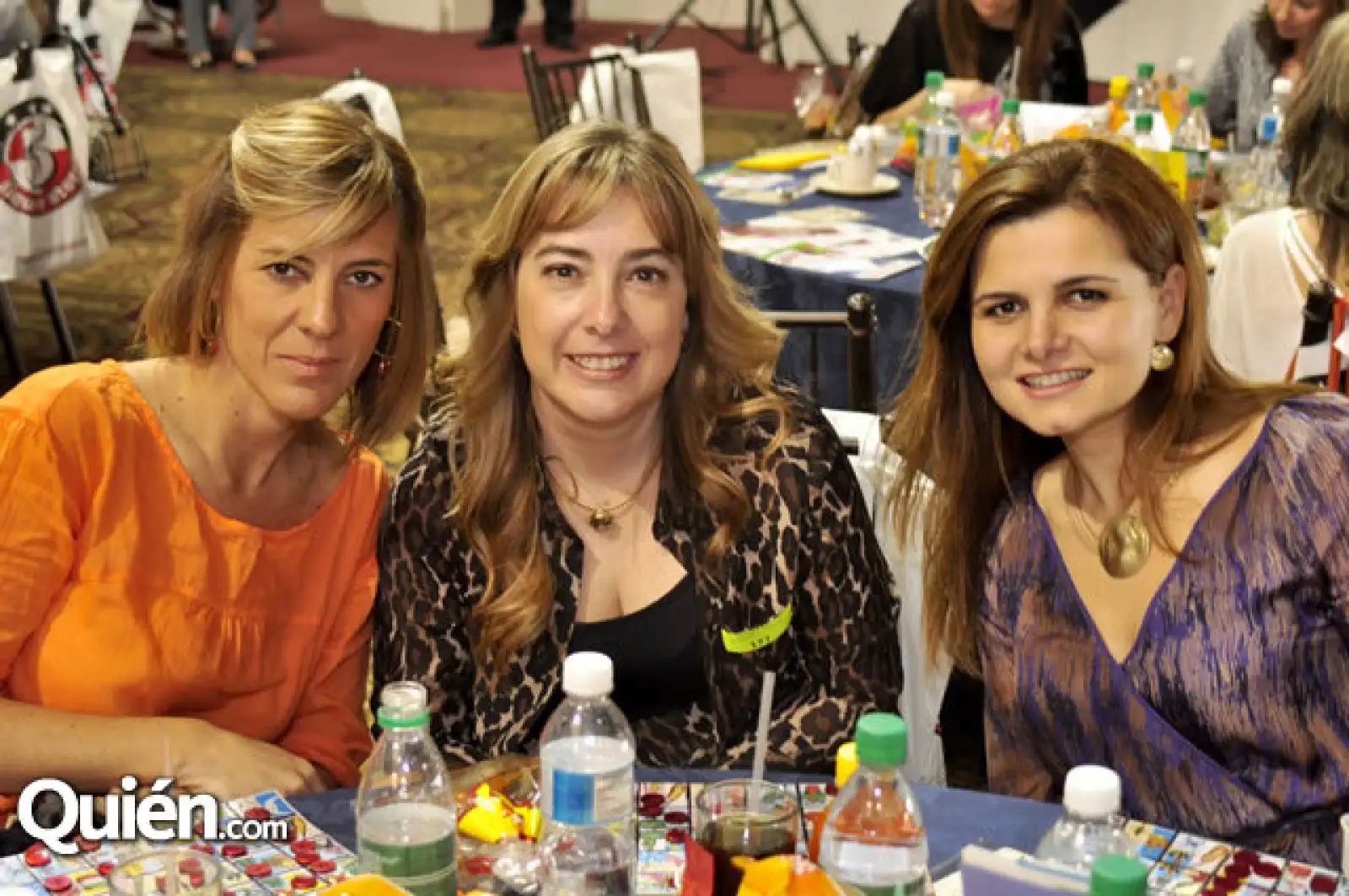 Alejandra de Elizarraras, Minerva del Bosque y Pily de Lobo