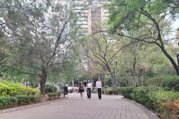 árboles contra islas de calor