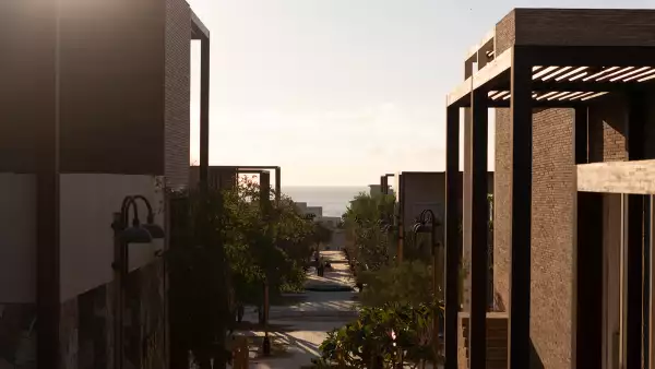 SOMA / ANIMA NOV 2025