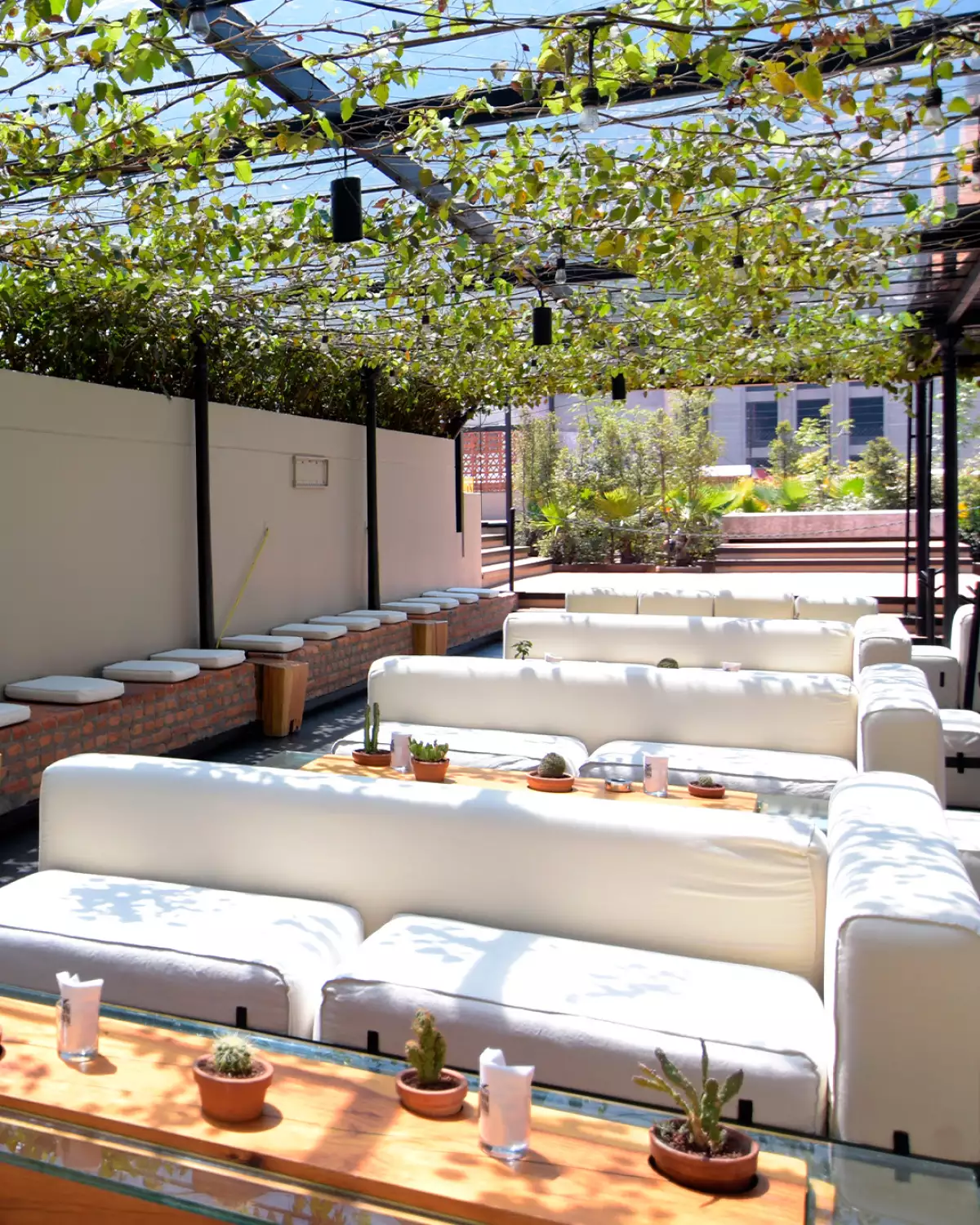 Sillones blancos vacíos en Terraza Hotel Downtown