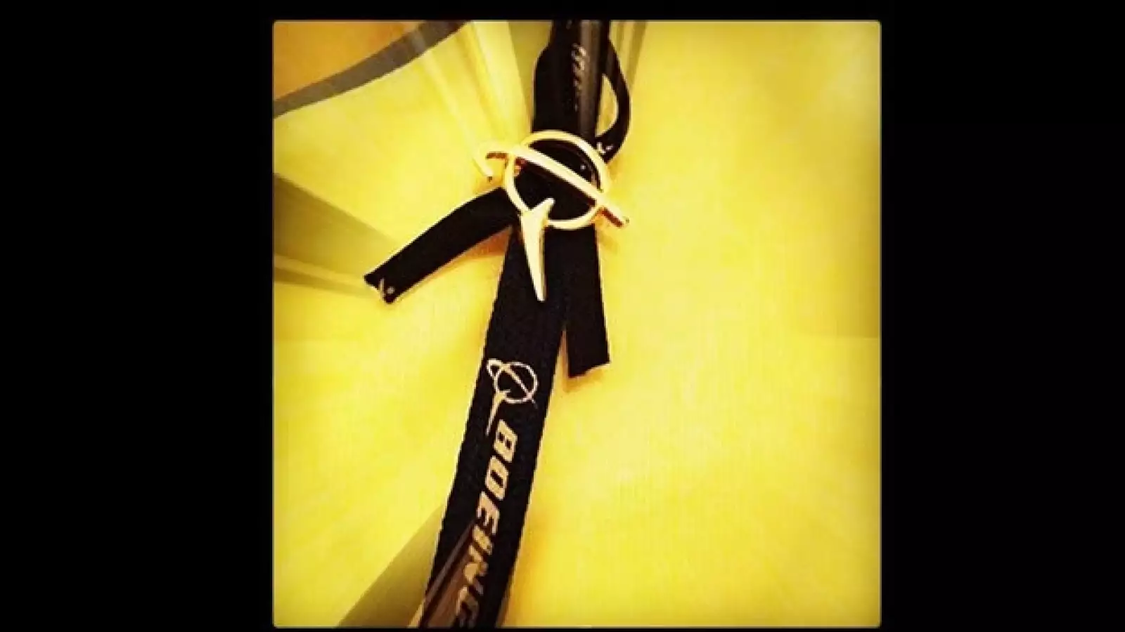 boeing recuerdo sobrecargos