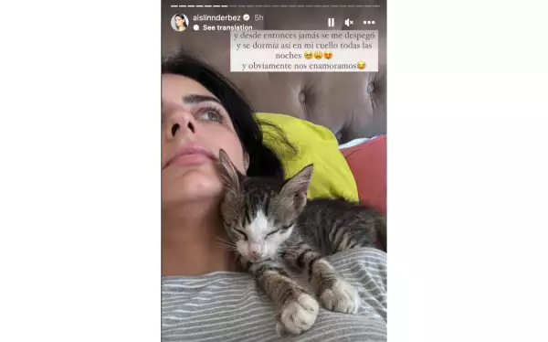 aislinn-derbez-gato