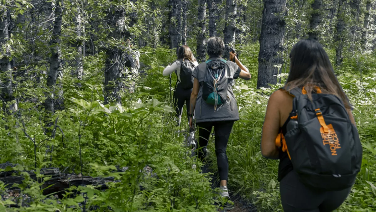 Foto de tres personas haciendo hiking en los parques nacionales de Vail, Colorado.
