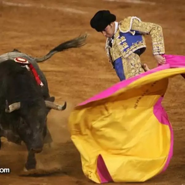 Matador José Mauricio