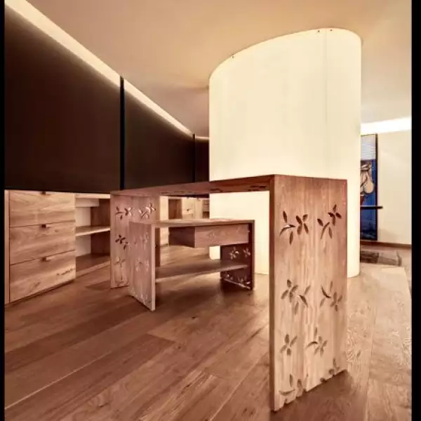 Departamento Polanco 05