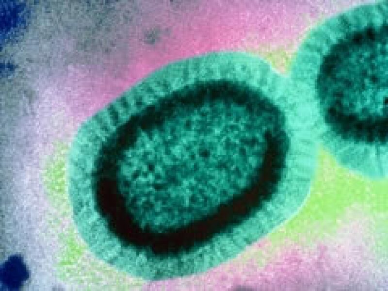 Sanofi-Pasteur produce vacunas contra diversos tipos de influenza. (Foto: Cortesía Sanofi-Aventis)