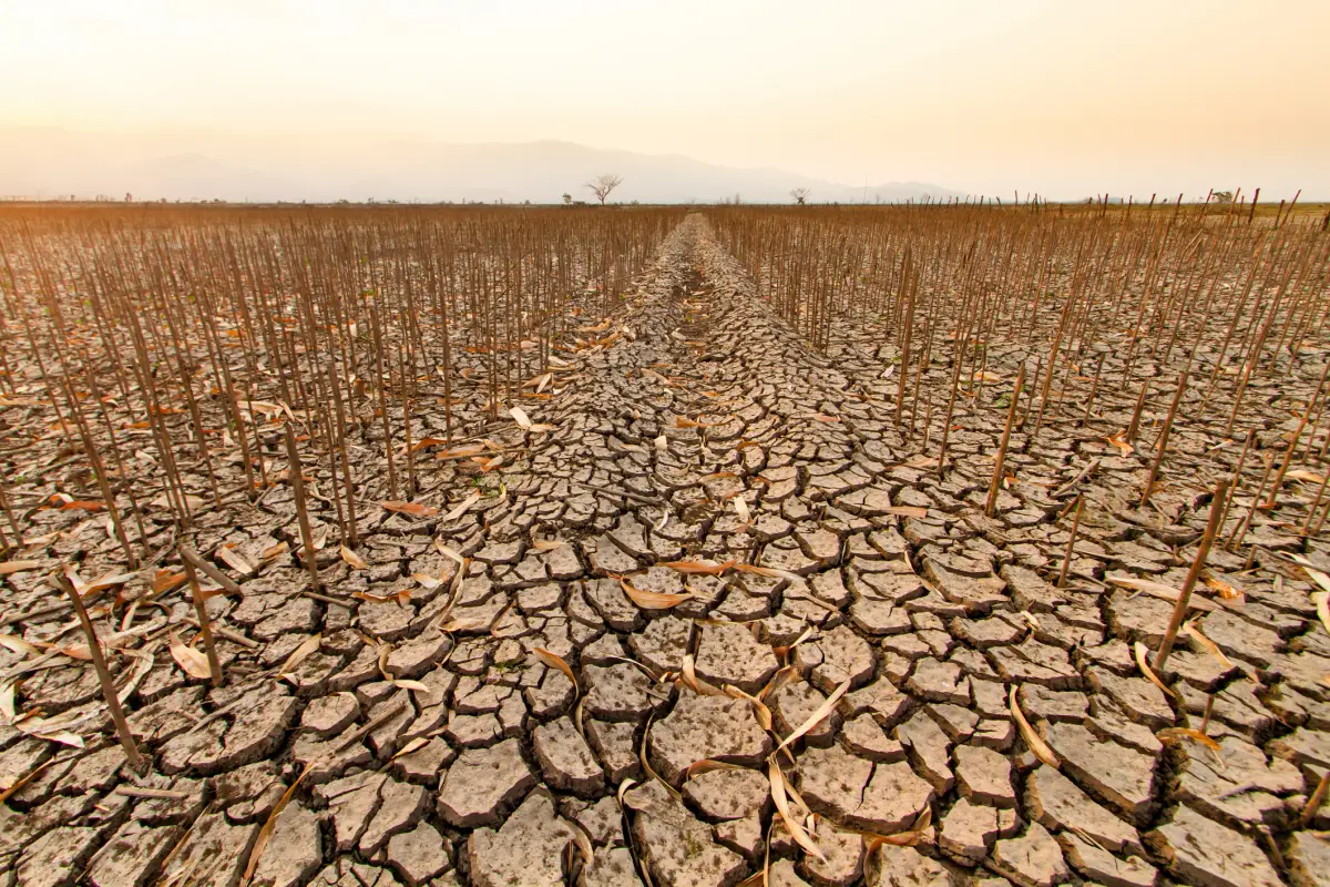 agricultura y cambio climatico