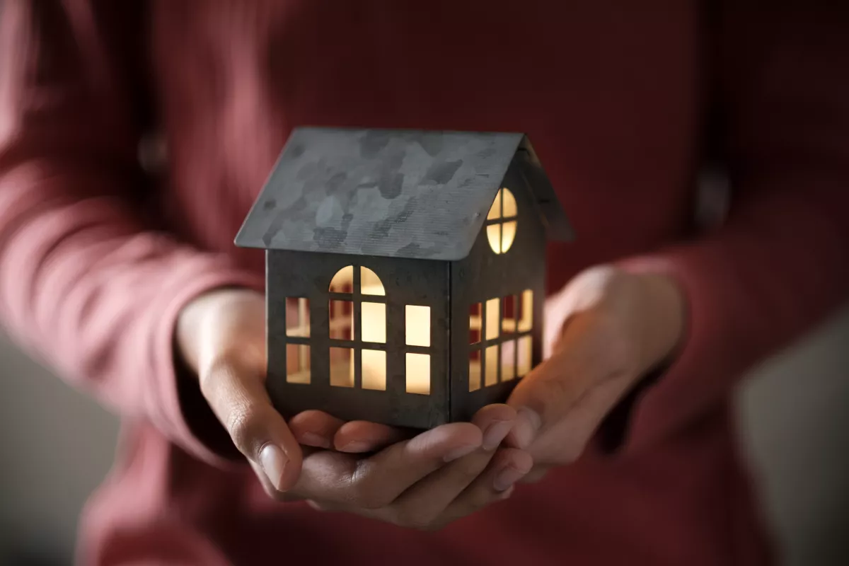 Model house in the palm