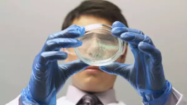 Los investigadores del IPN también han encontrado usos médicos para este componente natural. (Foto: Thinkstock)