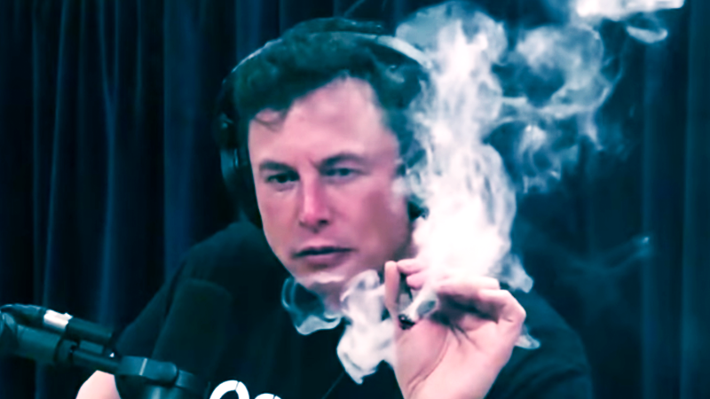 nota_principal.png