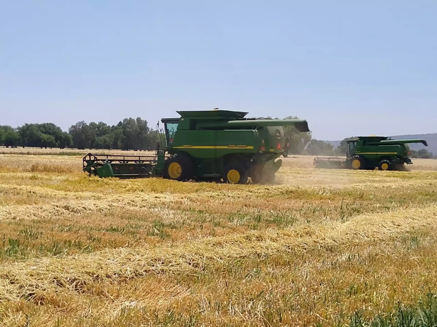 agricultura.jpg