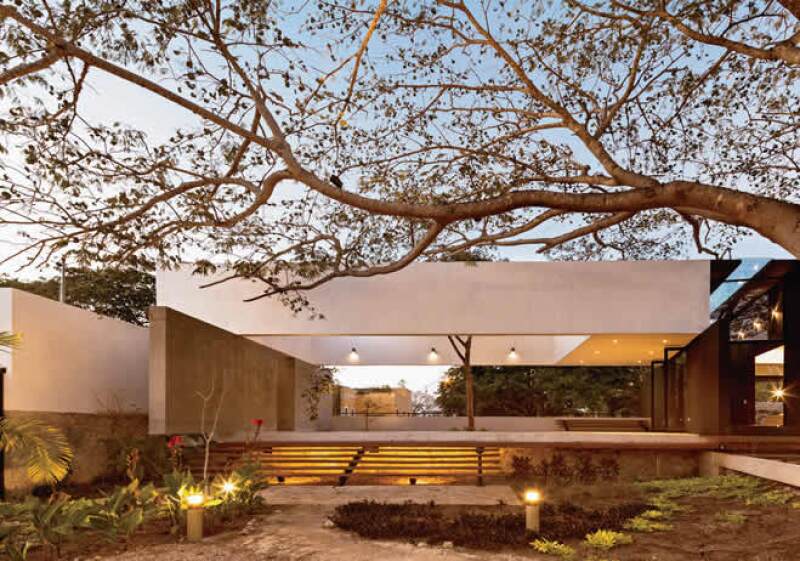 Casa del árbol 1