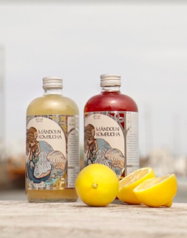 mandolin-kombucha.jpg