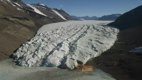 Noviembre 11, 2016. Nueva Zelanda
