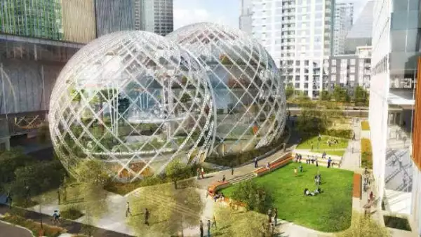 Amazon