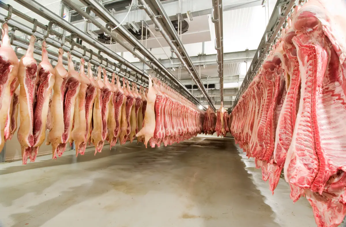 Mercado top. México junto con Japón y Corea del Sur, son de los tres principales mercados de exportación para la  Federación de Exportación de Carne de Estados Unidos. 
