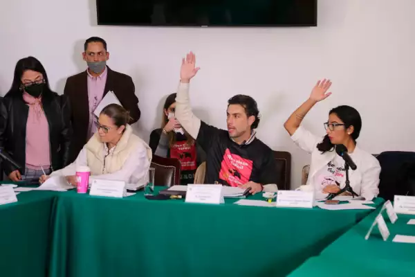 Comisión de bienestar animal 