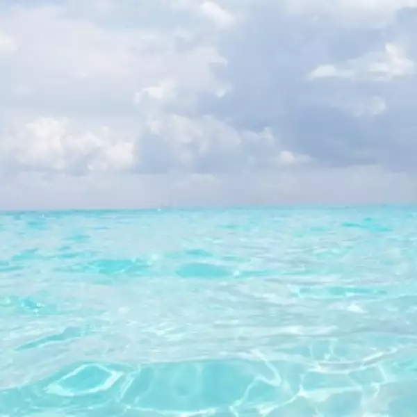 irpt-playadelcarmen2