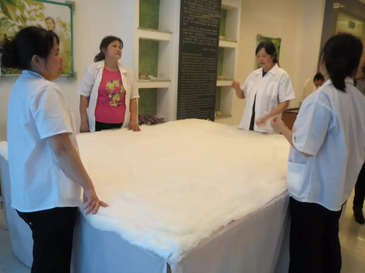 La tela se blanquea con agua y jab�n para quitarles las asperezas; se aclara con agua y se seca, preferentemente al sol; y queda lista para te�irse con tintas naturales.