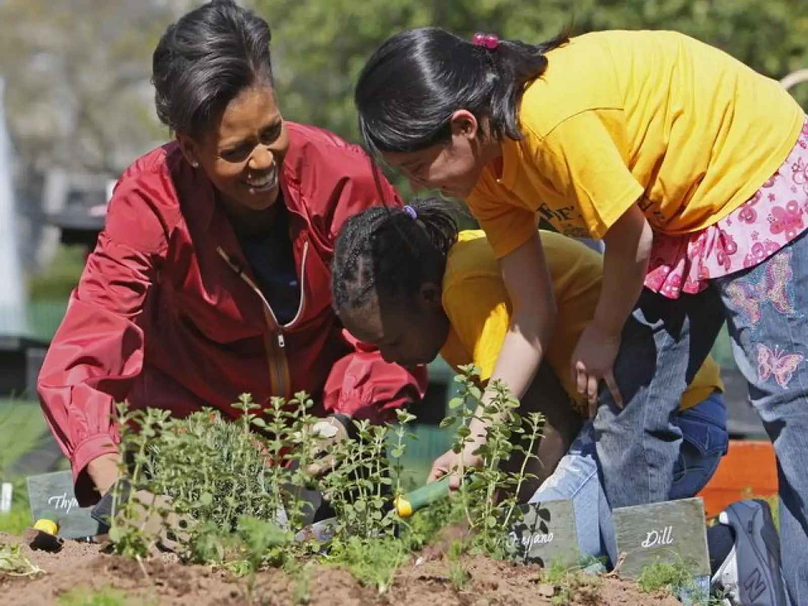 La primera dama estadounidense, Michelle Obama, y 25 escolares sembraron plantas en la Casa Blanca; los vegetales que se cosechen serán usados en la sede presidencial y en comedores populares para indigentes.