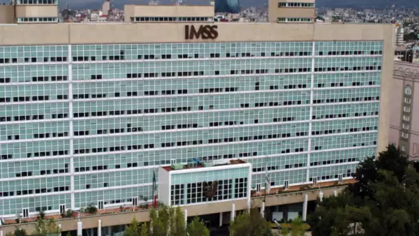 ¿Qué pasa si no activaste el buzón del IMSS antes del 1 de febrero?