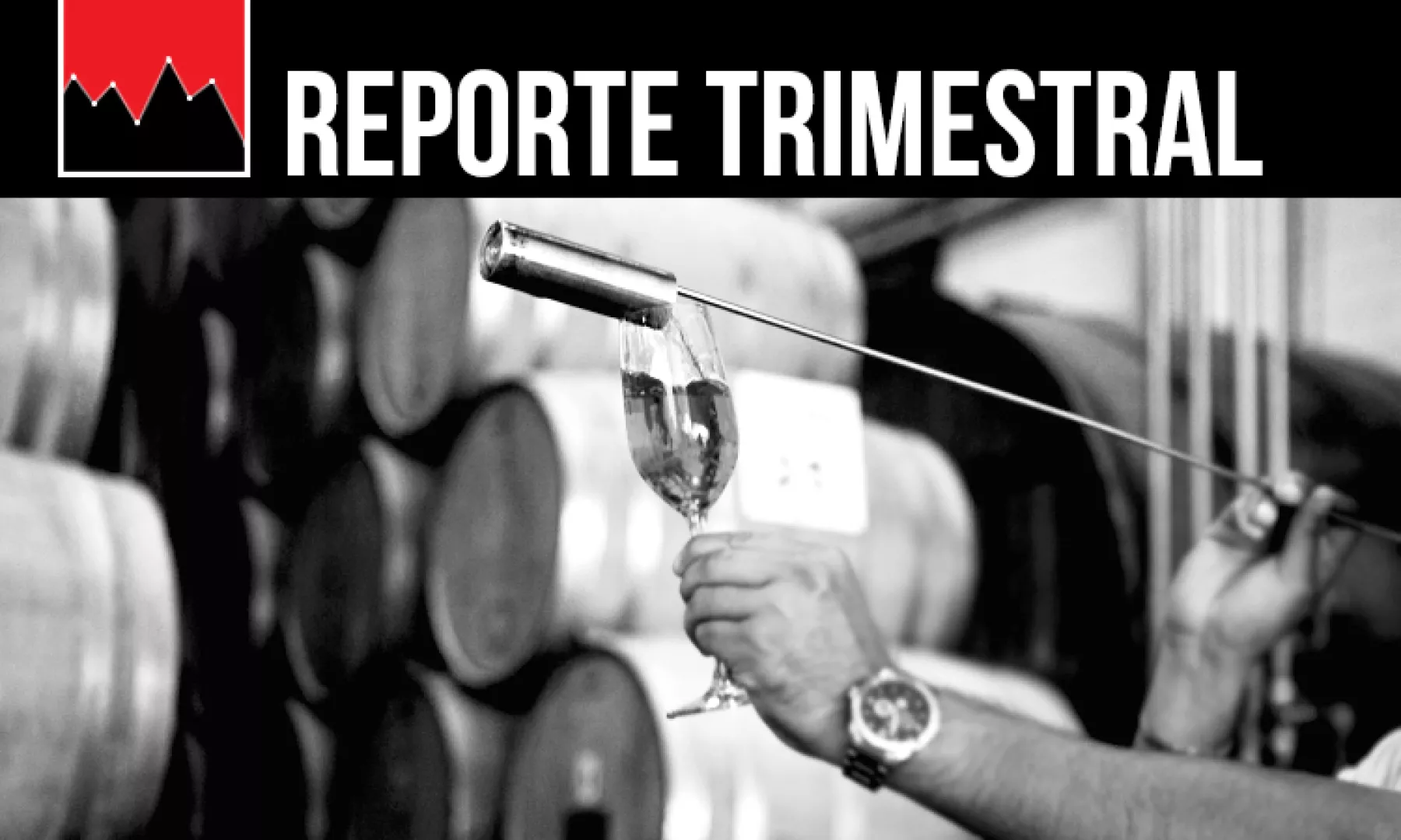 arte_reporte_2020_cuervo.jpg