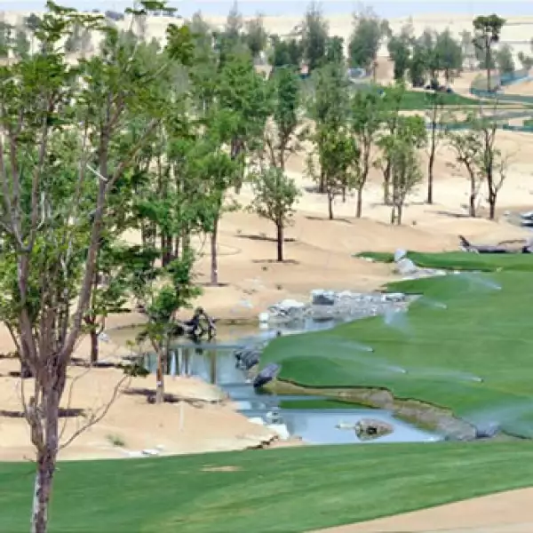 tiger woods campo hoyo 6