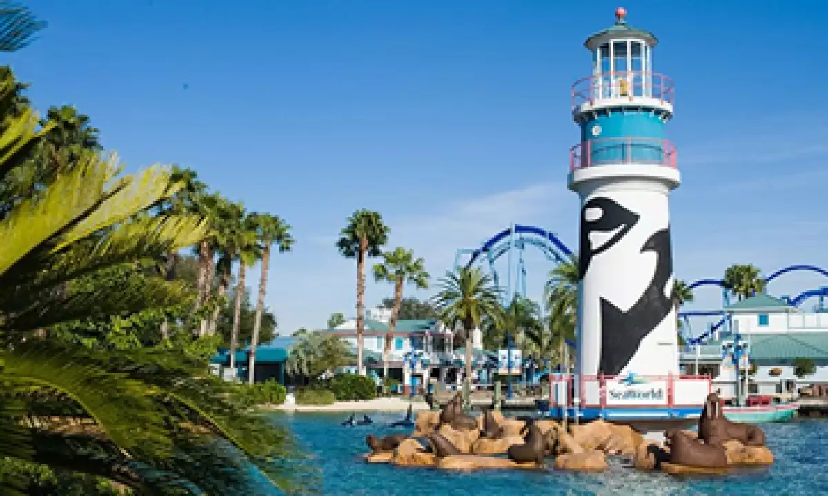 SeaWorld se hizo famosa por la orca ‘Shamu’, que murió en 1971. (Foto tomada de facebook.com/SeaWorld)