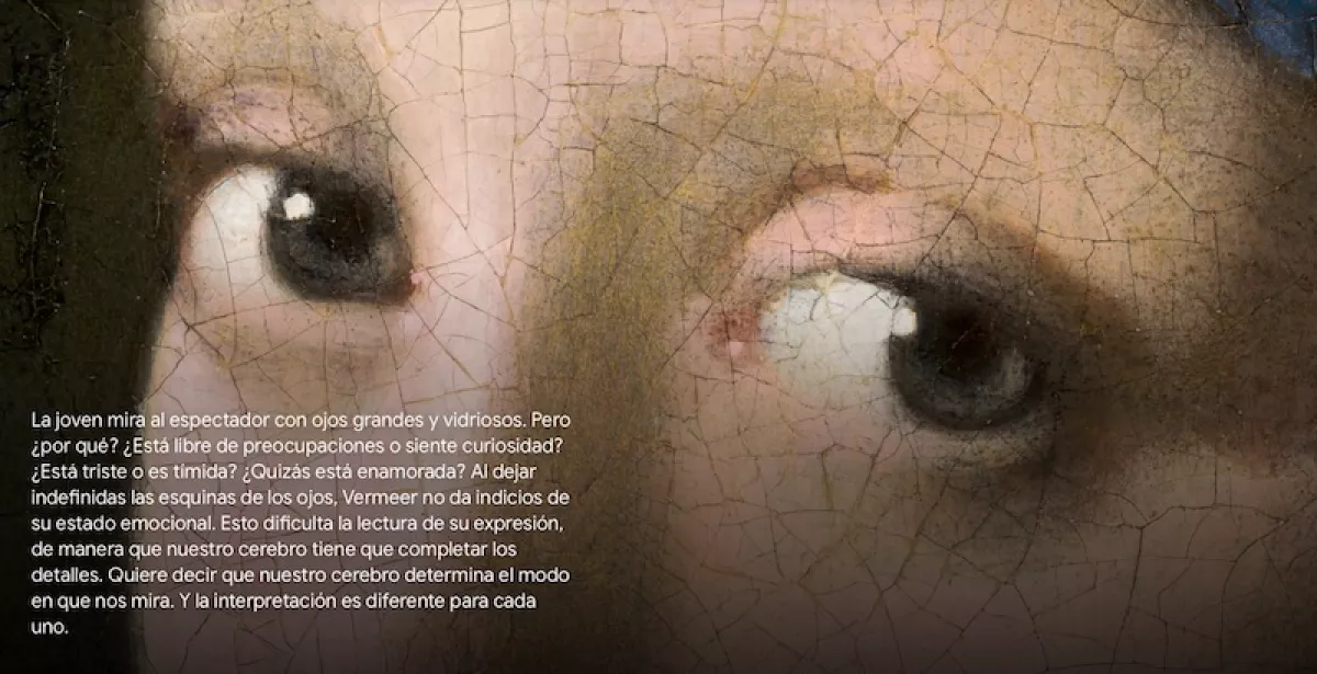 vermeer-museo-virtual